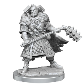 D&D Frameworks Human Male Fighter