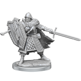 D&D Frameworks Human Male Fighter