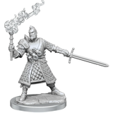 D&D Frameworks Human Male Fighter