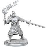 D&D Frameworks Human Male Fighter