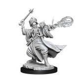 D&D Frameworks Human Wizard Male