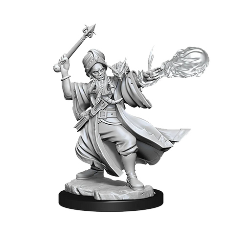 D&D Frameworks Human Wizard Male