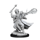 D&D Frameworks Human Wizard Male