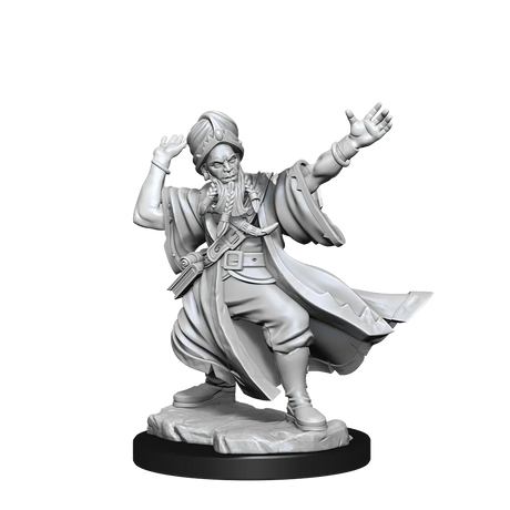 D&D Frameworks Human Wizard Male