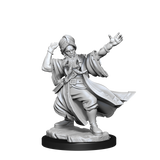D&D Frameworks Human Wizard Male