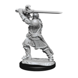 D&D Nolzurs Marvelous Unpainted Miniatures Human Paladin Male