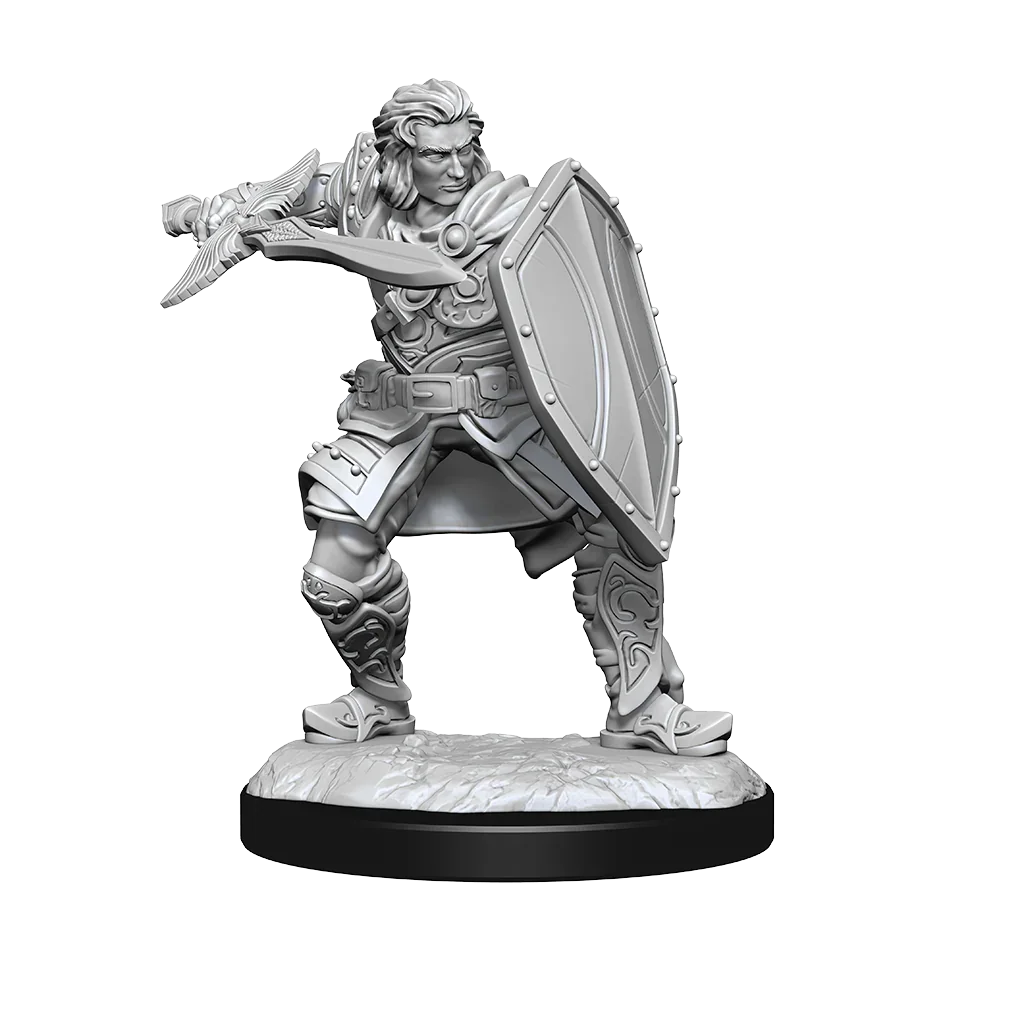 D&D Nolzurs Marvelous Unpainted Miniatures Human Paladin Male