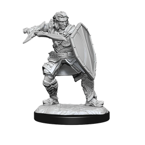 D&D Nolzurs Marvelous Unpainted Miniatures Human Paladin Male