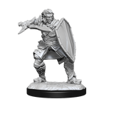 D&D Nolzurs Marvelous Unpainted Miniatures Human Paladin Male