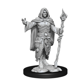 D&D Nolzurs Marvelous Unpainted Miniatures Human Druid Male