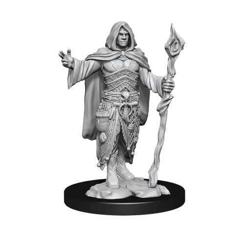 D&D Nolzurs Marvelous Unpainted Miniatures Human Druid Male