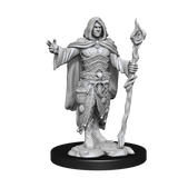 D&D Nolzurs Marvelous Unpainted Miniatures Human Druid Male