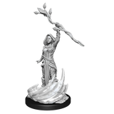 D&D Nolzurs Marvelous Unpainted Miniatures Human Druid Female