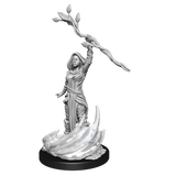 D&D Nolzurs Marvelous Unpainted Miniatures Human Druid Female