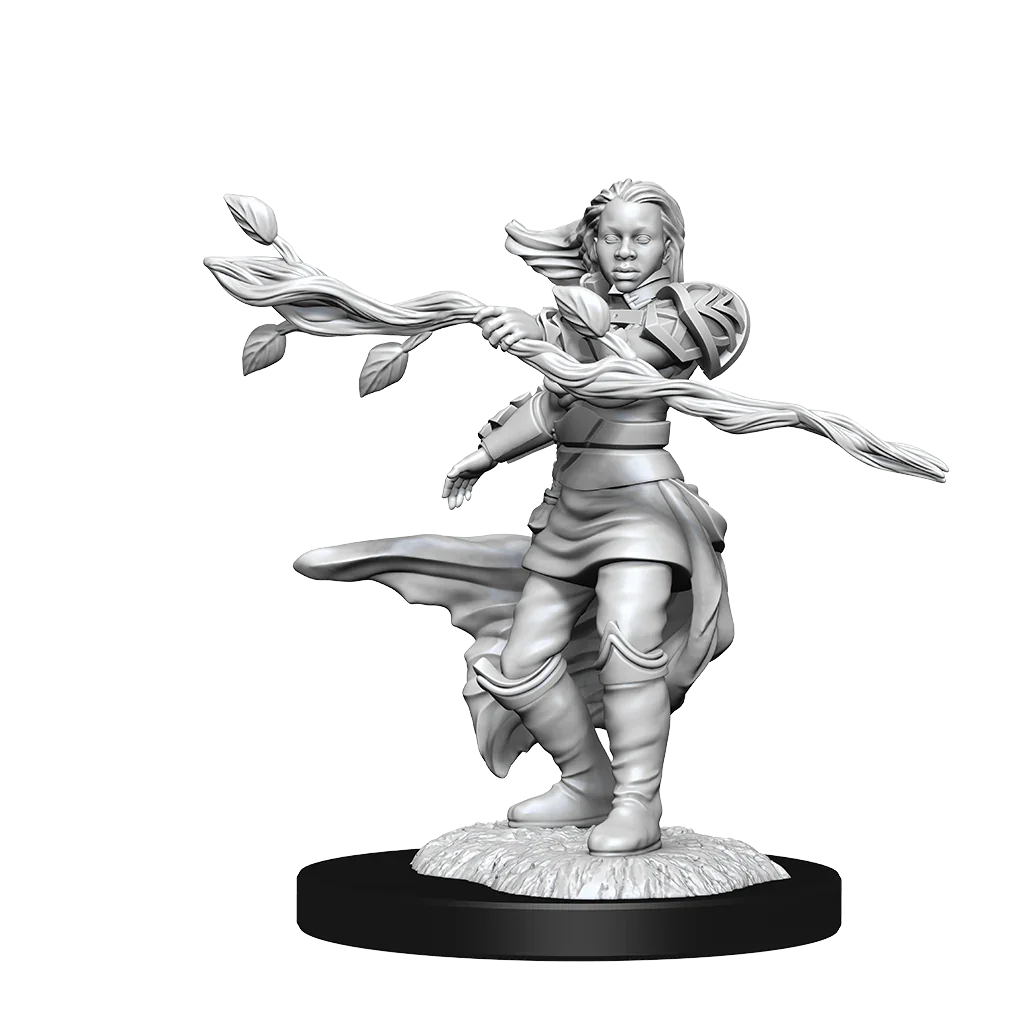 D&D Nolzurs Marvelous Unpainted Miniatures Human Druid Female