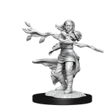 D&D Nolzurs Marvelous Unpainted Miniatures Human Druid Female