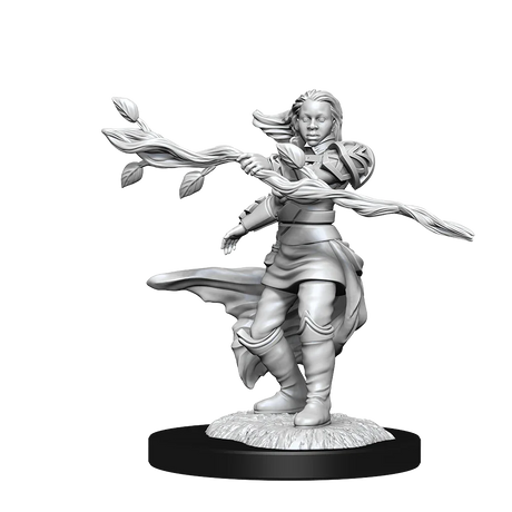 D&D Nolzurs Marvelous Unpainted Miniatures Human Druid Female