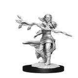 D&D Nolzurs Marvelous Unpainted Miniatures Human Druid Female