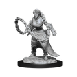 D&D Nolzurs Marvelous Unpainted Miniatures Human Monk Female