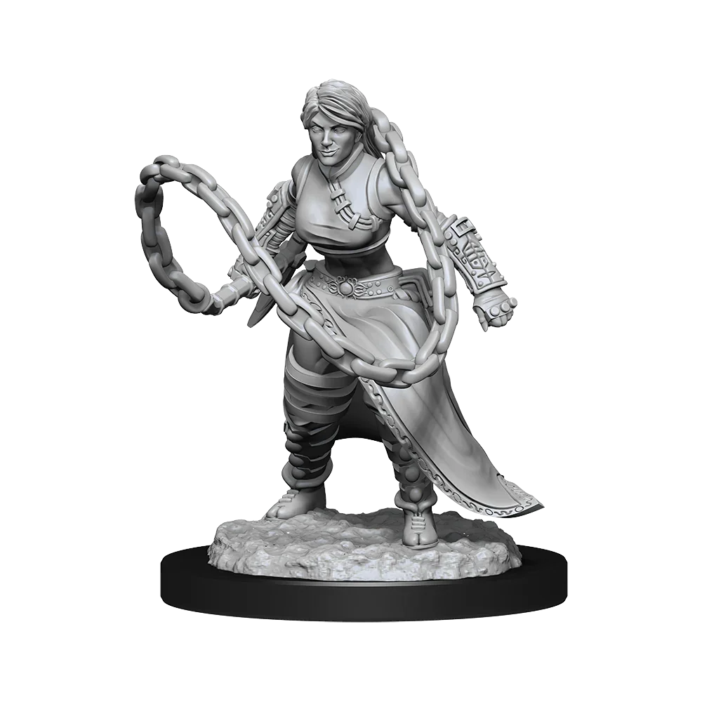 D&D Nolzurs Marvelous Unpainted Miniatures Human Monk Female