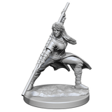 D&D Nolzurs Marvelous Unpainted Miniatures Human Monk Female