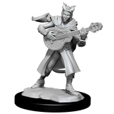 D&D Nolzurs Marvelous Unpainted Miniatures Tiefling Bard Female