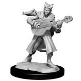D&D Nolzurs Marvelous Unpainted Miniatures Tiefling Bard Female