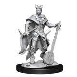 D&D Nolzurs Marvelous Unpainted Miniatures Tiefling Bard Female