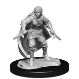 D&D Nolzurs Marvelous Unpainted Miniatures Half-Elf Rogue Female