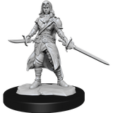 D&D Nolzurs Marvelous Unpainted Miniatures Half-Elf Rogue Female