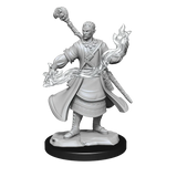 D&D Nolzurs Marvelous Unpainted Miniatures Half-Elf Wizard Male