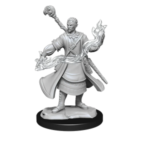 D&D Nolzurs Marvelous Unpainted Miniatures Half-Elf Wizard Male