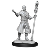 D&D Nolzurs Marvelous Unpainted Miniatures Half-Elf Wizard Male