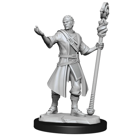D&D Nolzurs Marvelous Unpainted Miniatures Half-Elf Wizard Male