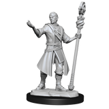 D&D Nolzurs Marvelous Unpainted Miniatures Half-Elf Wizard Male