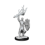 D&D Nolzurs Marvelous Unpainted Miniatures Half-Elf Paladin Male