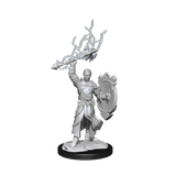D&D Nolzurs Marvelous Unpainted Miniatures Half-Elf Paladin Male