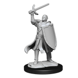 D&D Nolzurs Marvelous Unpainted Miniatures Half-Elf Paladin Male