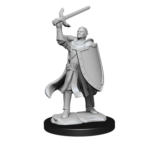 D&D Nolzurs Marvelous Unpainted Miniatures Half-Elf Paladin Male