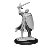 D&D Nolzurs Marvelous Unpainted Miniatures Half-Elf Paladin Male