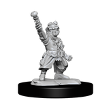 D&D Nolzurs Marvelous Unpainted Miniatures Gnome Artificer Male