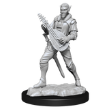 Critical Role Unpainted Miniatures Pallid Elf Rogue and Bard Male