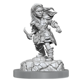 D&D Nolzurs Marvelous Miniatures Halfling Rogue Female
