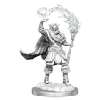 D&D Nolzurs Marvelous Unpainted Miniatures Elf Cleric Male