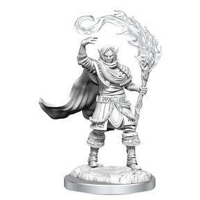 D&D Nolzurs Marvelous Unpainted Miniatures Elf Cleric Male