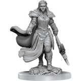 D&D Nolzurs Marvelous Miniatures Orc Fighter Female