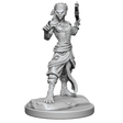 D&D Nolzurs Marvelous Miniatures Shifter Fighter