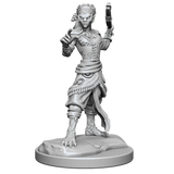 D&D Nolzurs Marvelous Miniatures Shifter Fighter