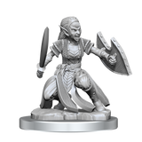 D&D Nolzurs Marvelous Miniatures Shifter Fighter