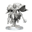 D&D Nolzurs Marvelous Unpainted Miniatures Aasimar Cleric Male